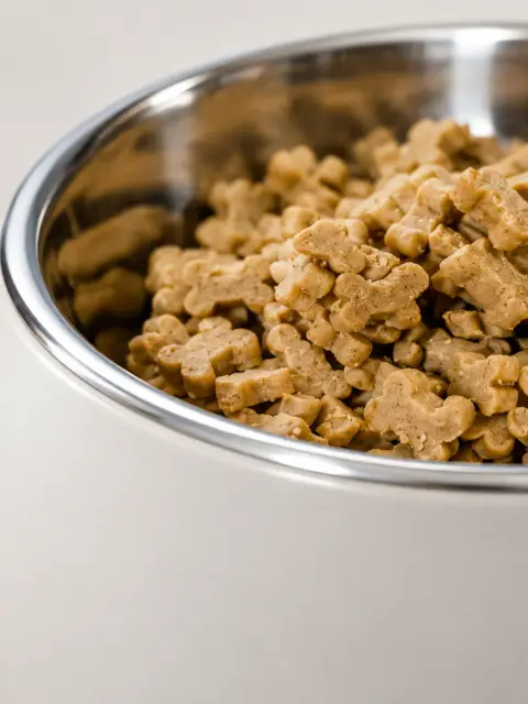 可拆不锈钢宠物食盆: 部件细节图